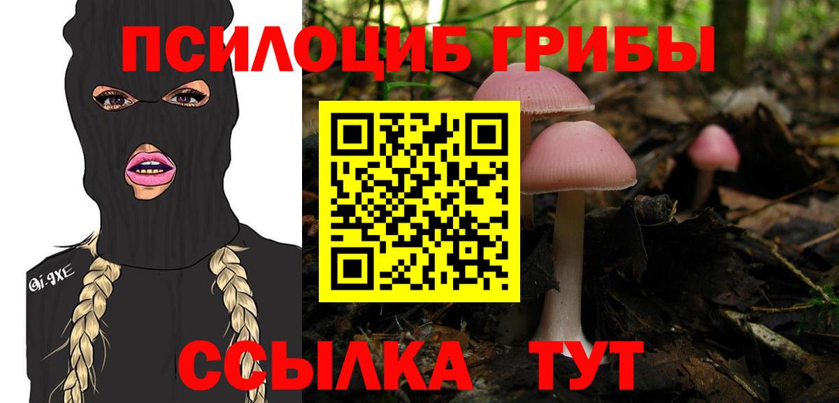 Галлюциногенные грибы Magic Shrooms  Вход с VPN  Псилоцибиновые грибы ЛСД  Сердобск 